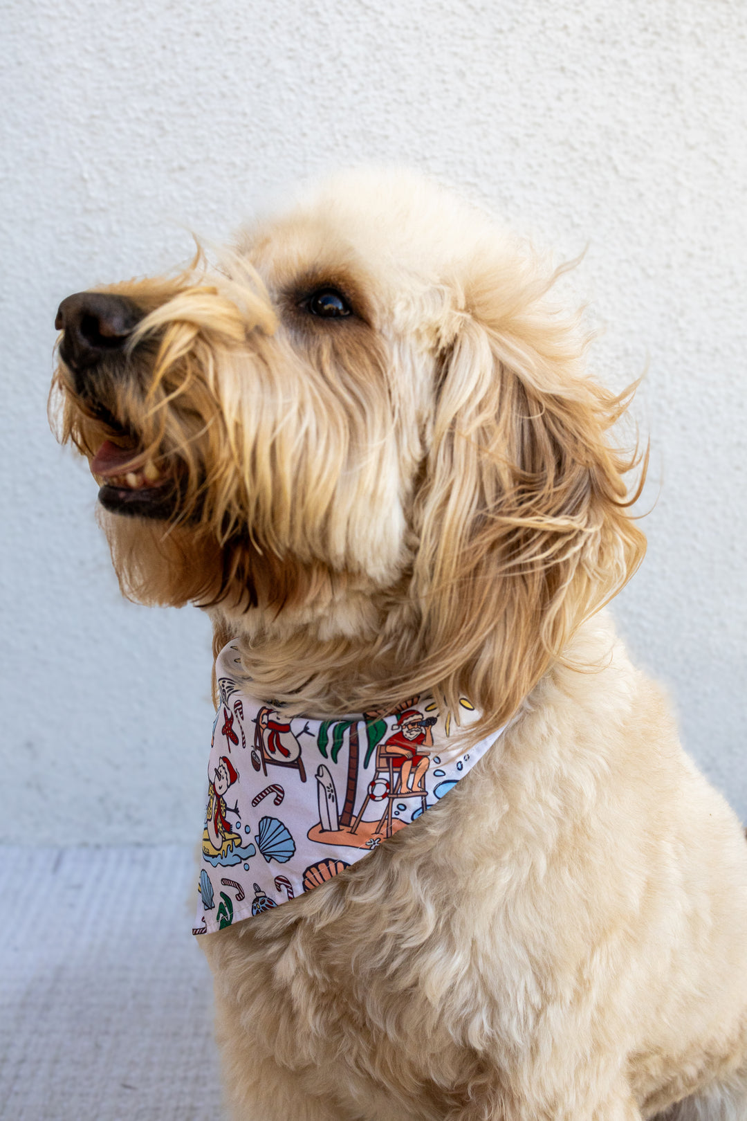 Jolly Waves Dog Bandana