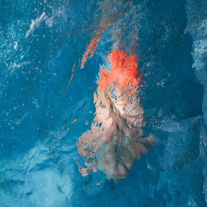 Neon Orange Boys Hybrid Boardshorts – Surfing Seagulls [PRE-ORDER]