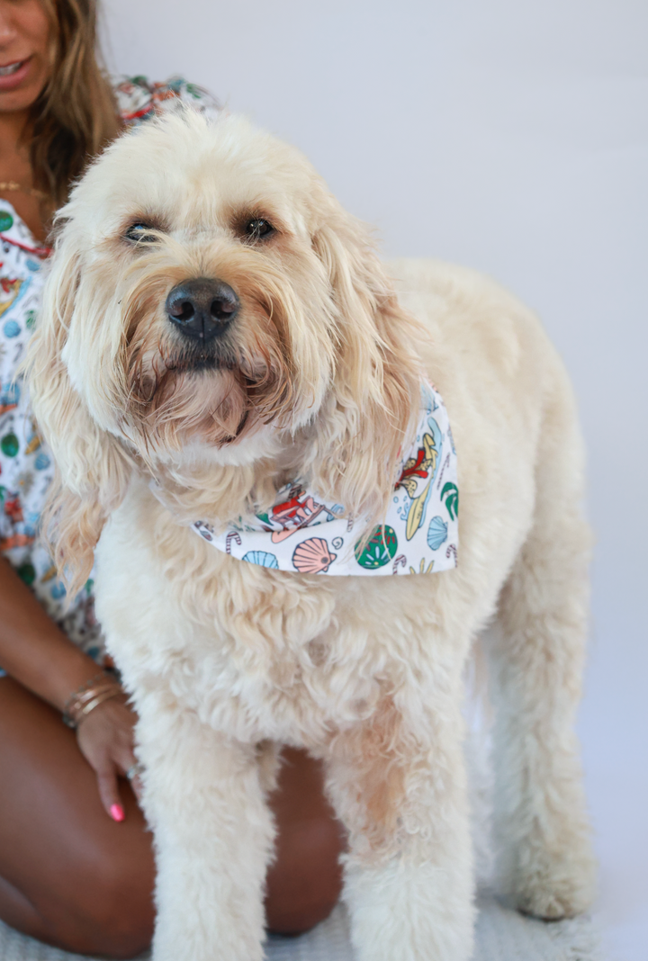Jolly Waves Dog Bandana